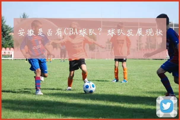 安徽是否有CBA球队?球队发展现状