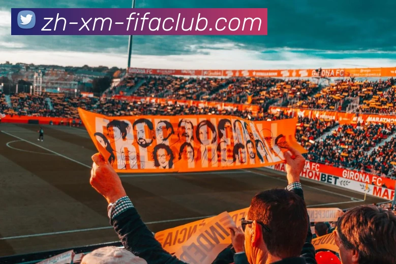 世界杯直播平台生态图