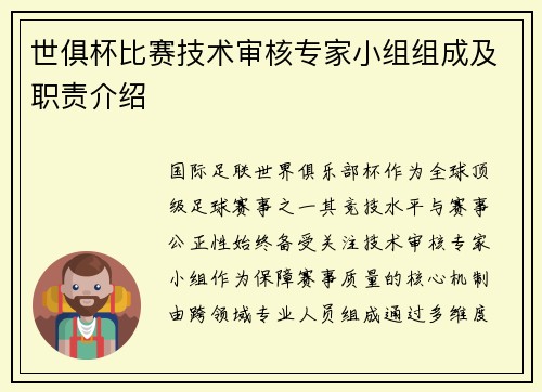 世俱杯比赛技术审核专家小组组成及职责介绍